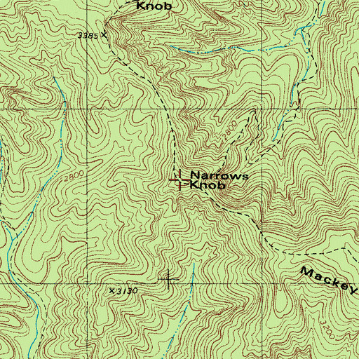 Topographic Map of Narrows Knob, NC