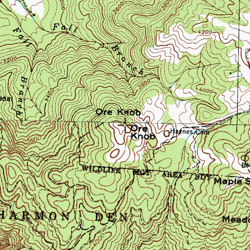 Topographic Map of Ore Knob, NC
