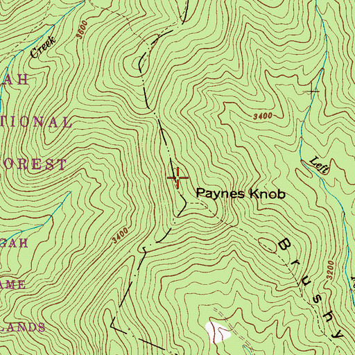 Topographic Map of Paynes Knob, NC