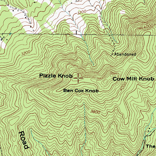 Topographic Map of Pizzle Knob, NC