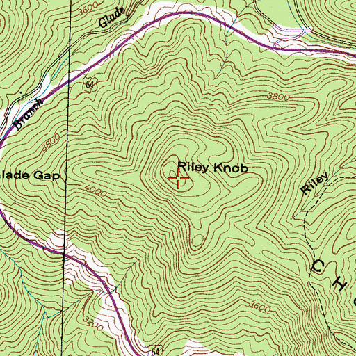 Topographic Map of Riley Knob, NC