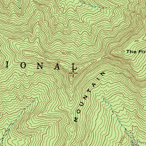 Topographic Map of Vineyard Mountain, NC