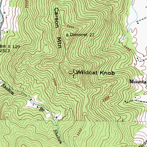 Topographic Map of Wildcat Knob, NC