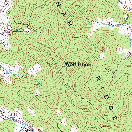 Topographic Map of Wolf Knob, NC