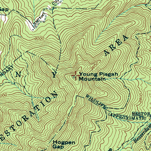 Topographic Map of Young Pisgah Mountain, NC