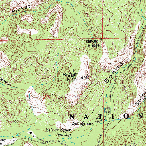 Topographic Map of Riggs Mountain, AZ