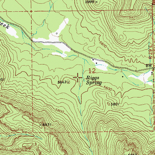 Topographic Map of Riggs Spring, AZ