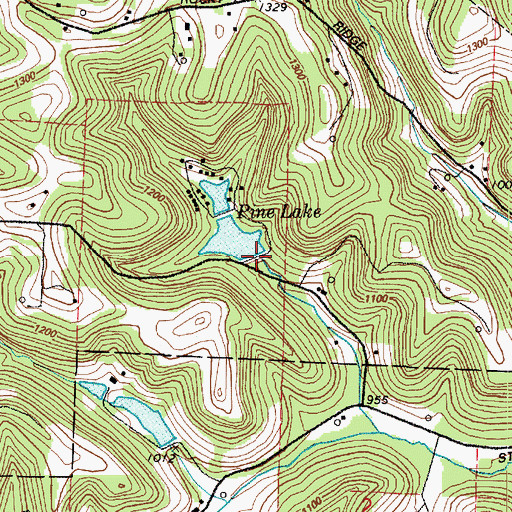 Topographic Map of Pine Lake Dam, OH