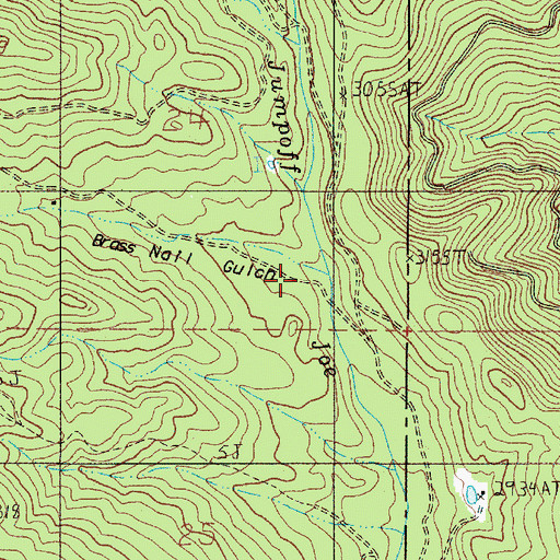 Topographic Map of Brass Nail Gulch, OR