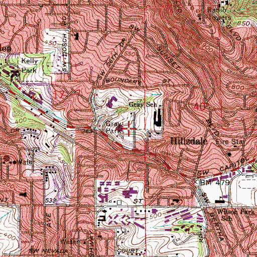Topographic Map of Gray Park, OR