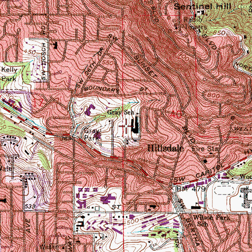 Topographic Map of Gray Middle School, OR