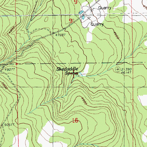 Topographic Map of Skedaddle Spring, OR