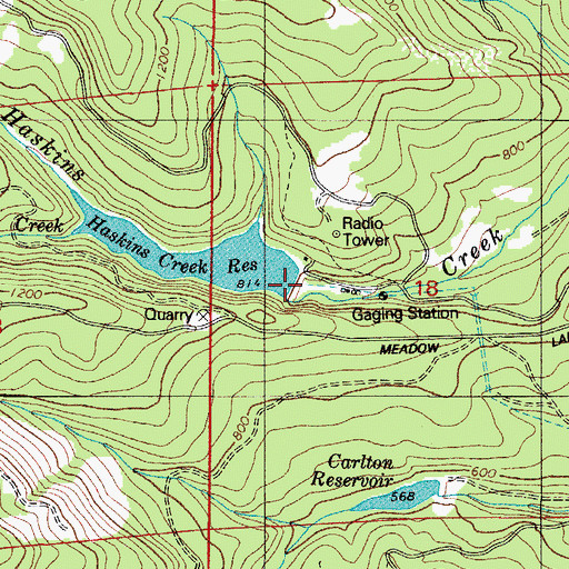 Topographic Map of Haskins Creek Dam, OR