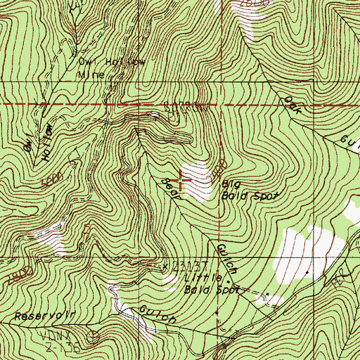 Topographic Map of Big Bald Spot, OR