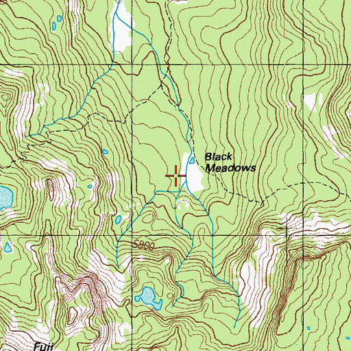 Topographic Map of Black Meadows, OR