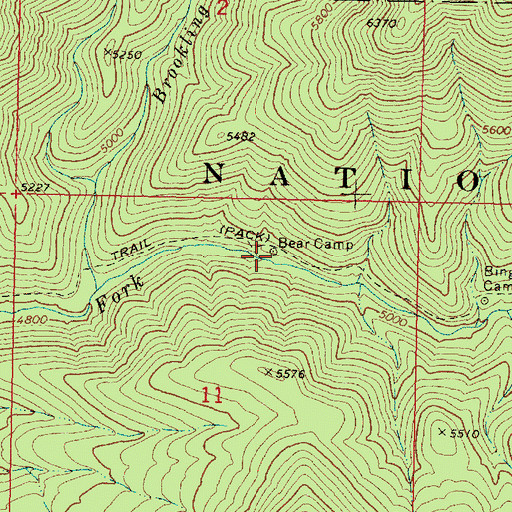 Topographic Map of Bear Camp, OR