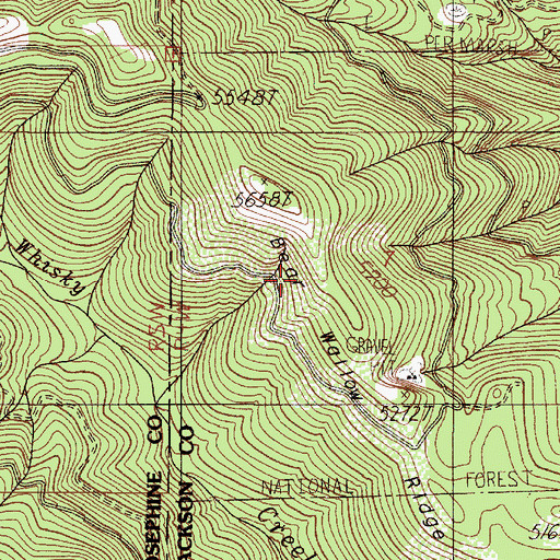 Topographic Map of Bearwallow Ridge, OR