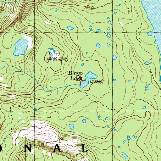 Topographic Map of Bingo Lake, OR