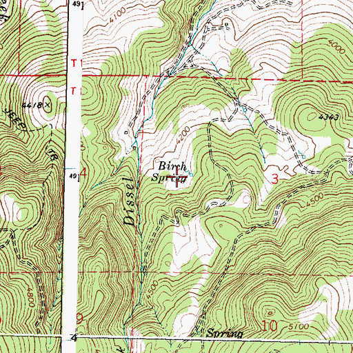 Topographic Map of Birch Spring, OR