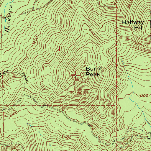Topographic Map of Burnt Peak, OR