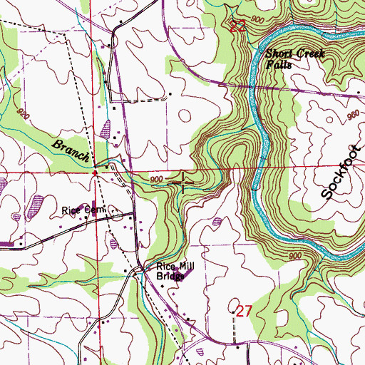 Topographic Map of Berry Branch, AL