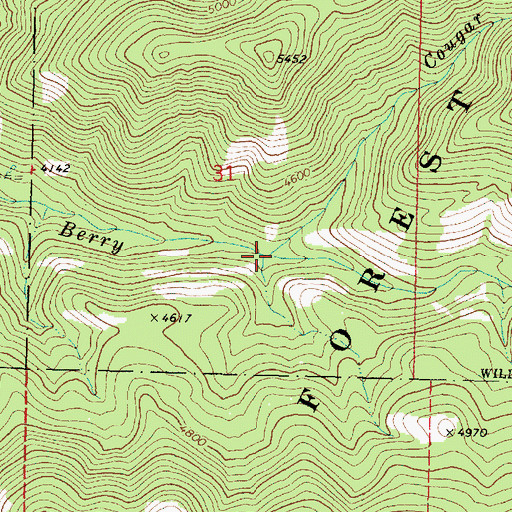 Topographic Map of Cougar Creek, OR