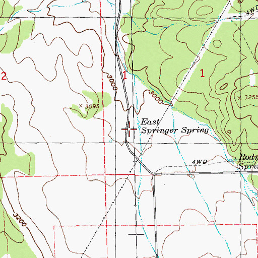 Topographic Map of East Springer Spring, OR