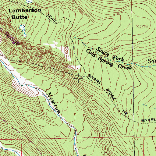 Topographic Map of Gnarl Ridge Trail, OR