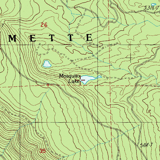 Topographic Map of Mosquito Lake, OR