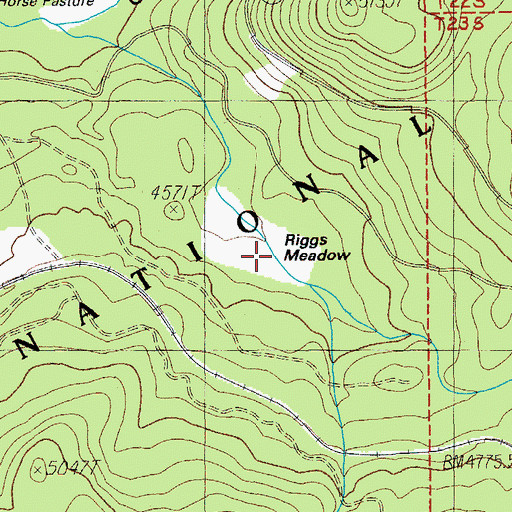 Topographic Map of Riggs Meadow, OR