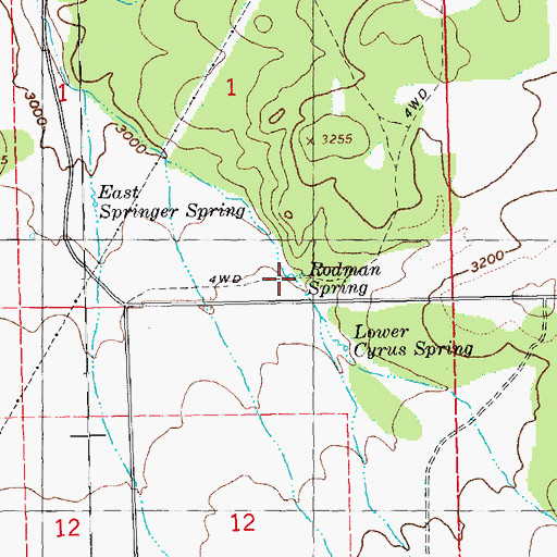 Topographic Map of Rodman Spring, OR