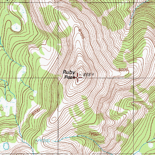 Topographic Map of Ruby Peak, OR