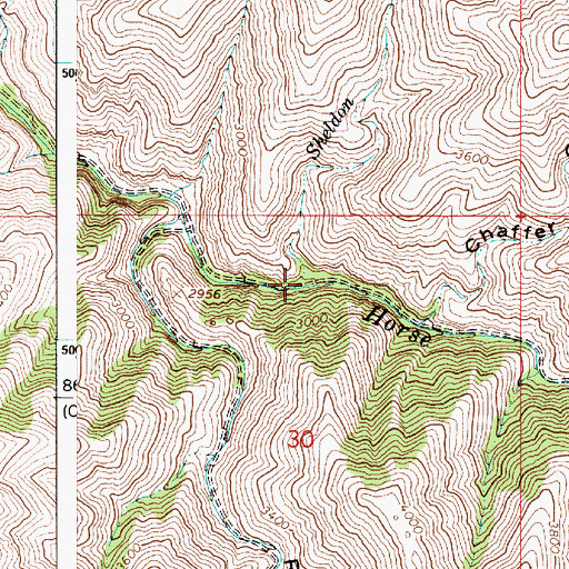 Topographic Map of Sheldon Creek, OR