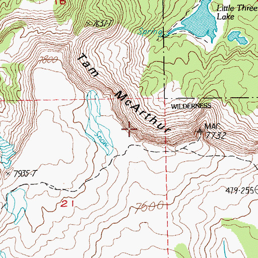 Topographic Map of Tam McArthur Rim, OR