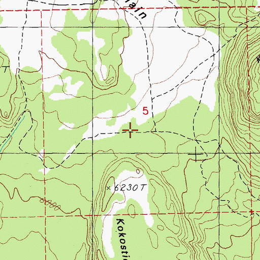 Topographic Map of Wickiup Plain Trail, OR
