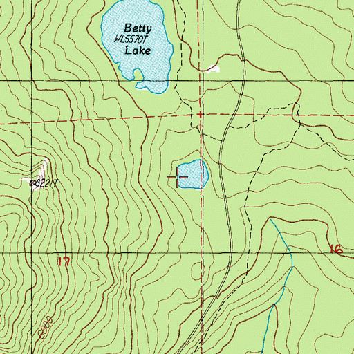 Topographic Map of Lower Betty Lake, OR