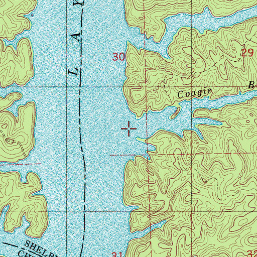 Topographic Map of Coagie Branch, AL