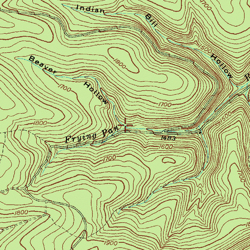 Topographic Map of Beaver Hollow, PA