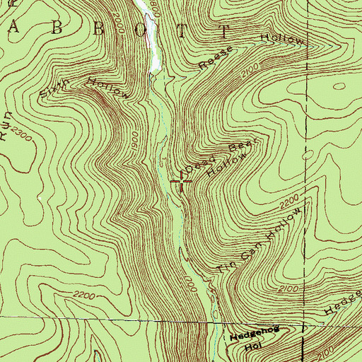 Topographic Map of Dead Bear Hollow, PA
