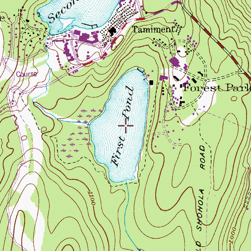 Topographic Map of First Pond, PA