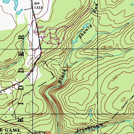Topographic Map of Fourth Run, PA