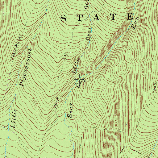 Topographic Map of Little Bear Gap Run, PA
