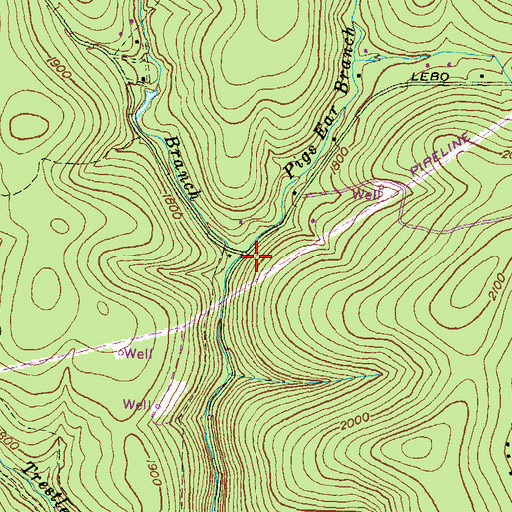 Topographic Map of Pigs Ear Branch, PA