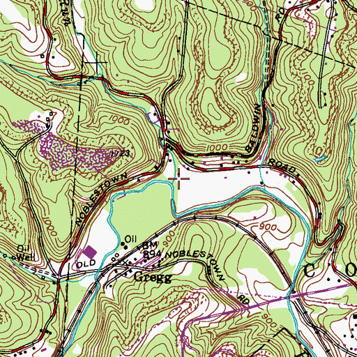 Topographic Map of Pinkertons Run, PA
