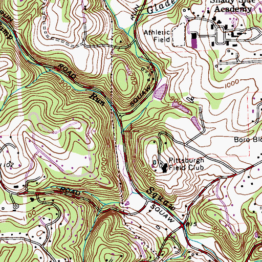 Topographic Map of Stony Camp Run, PA