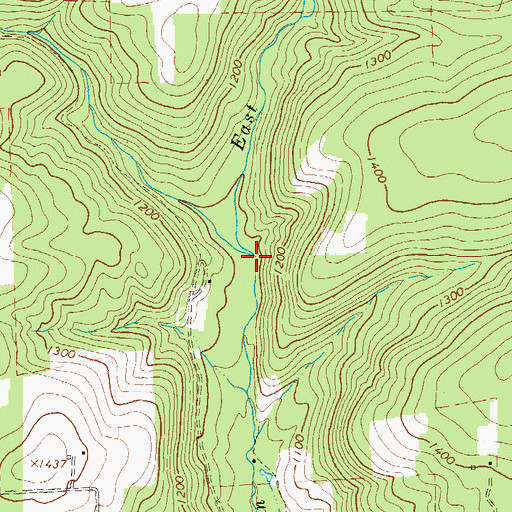 Topographic Map of East Branch Wallis Run, PA