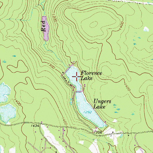 Topographic Map of Florence Lake, PA