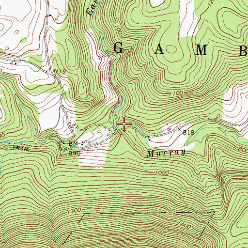 Topographic Map of East Branch Murray Run, PA