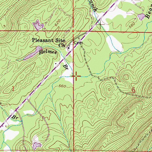 Topographic Map of Holmes Branch, AL
