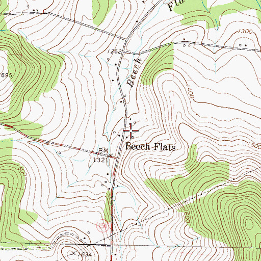 Topographic Map of Beech Flats, PA